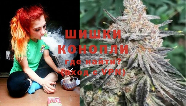 шишки Алзамай