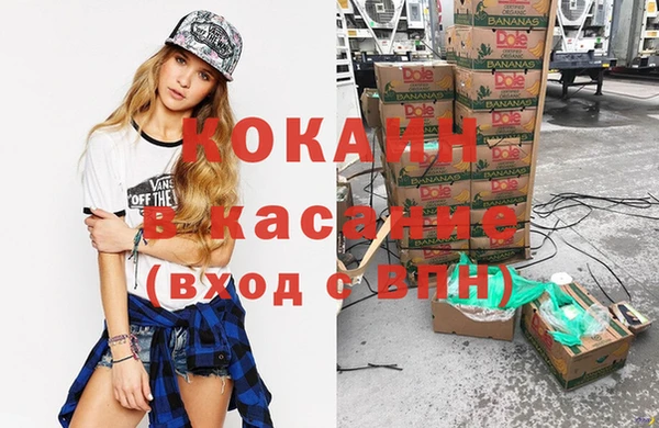 шишки Алзамай