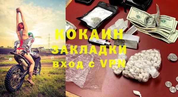 шишки Алзамай