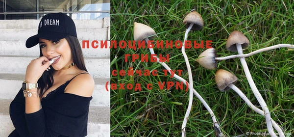 apvp Надым