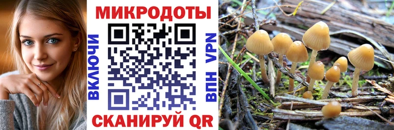 продажа наркотиков  Сортавала  даркнет официальный сайт  Псилоцибиновые грибы прущие грибы 